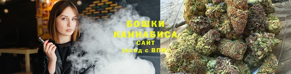 шишки Михайлов
