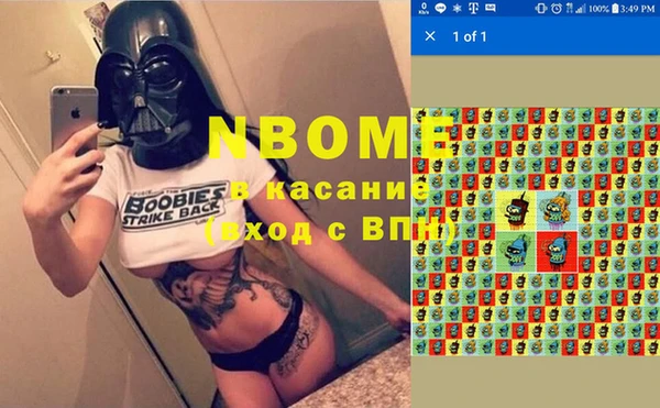 шишки Михайлов