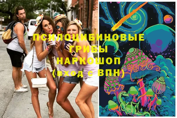 шишки Михайлов