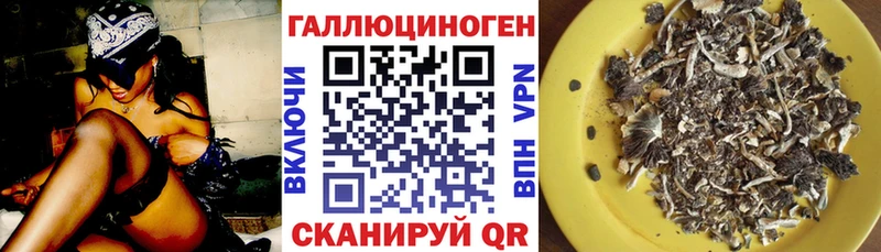 Псилоцибиновые грибы MAGIC MUSHROOMS Галич